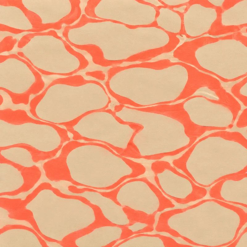 Coral Caustics-print